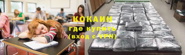 хмурый Няндома