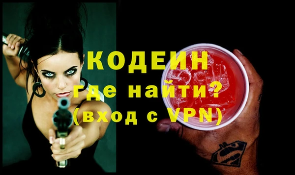 хмурый Няндома