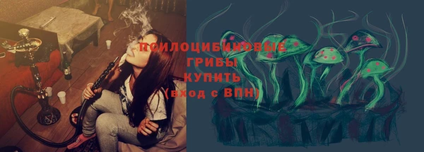 хмурый Няндома