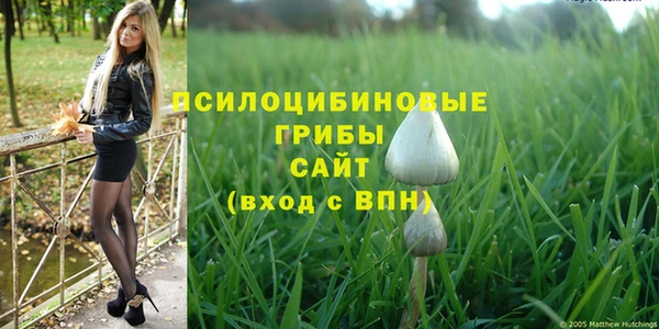 spice Нягань