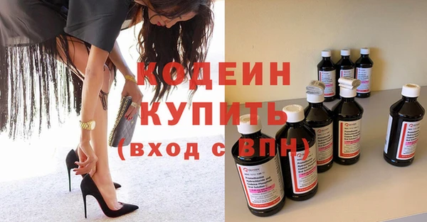 хмурый Няндома