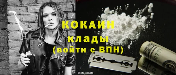 хмурый Няндома