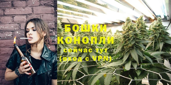 spice Нягань