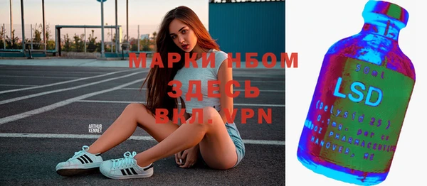 хмурый Няндома