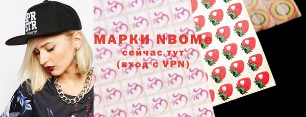 хмурый Няндома