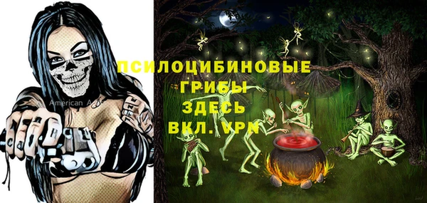 первитин Новозыбков
