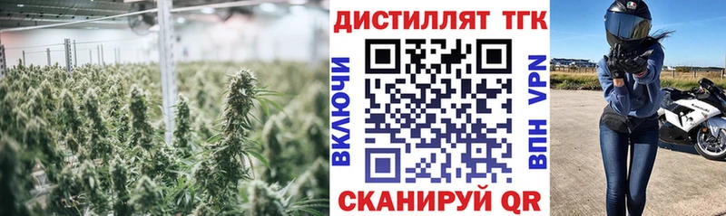Дистиллят ТГК гашишное масло  Павлово 