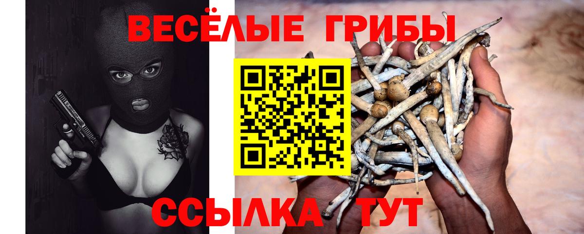 где продают наркотики  Галлюциногенные грибы Magic Shrooms  Вход с VPN  Псилоцибиновые грибы Magic Shrooms  Павлово 