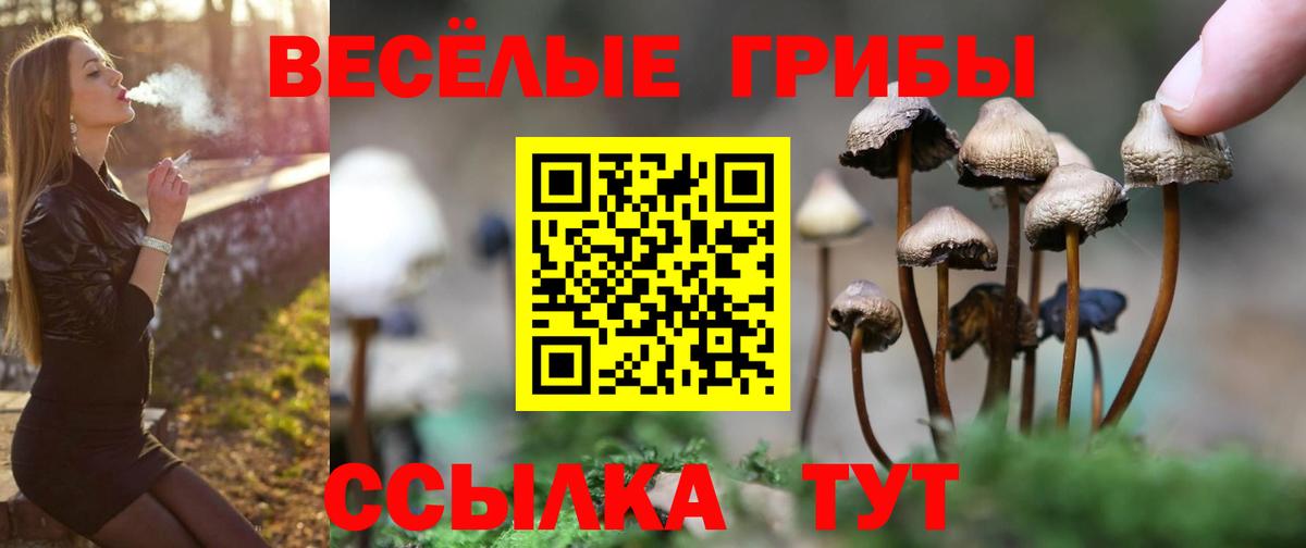 Псилоцибиновые грибы GOLDEN TEACHER Павлово